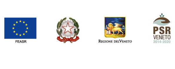 4 ISTITUZIONALI
