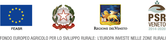4 ISTITUZIONALI
